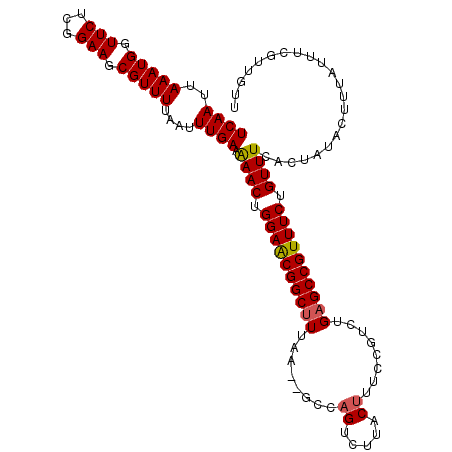 secondary structure