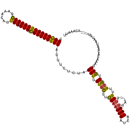 secondary structure