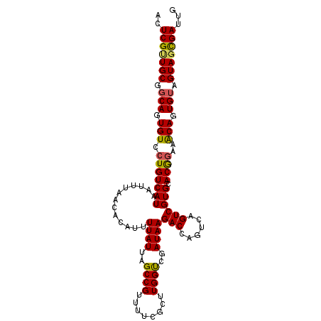 secondary structure