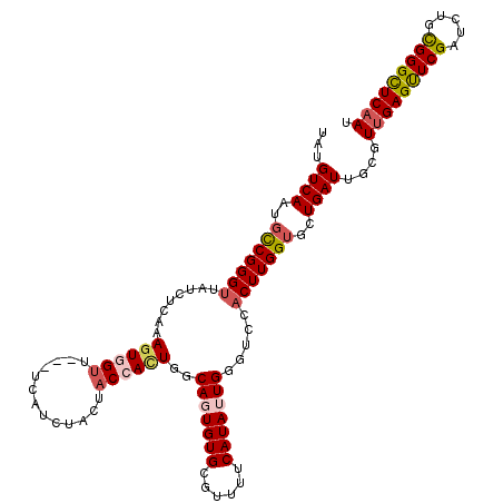 secondary structure