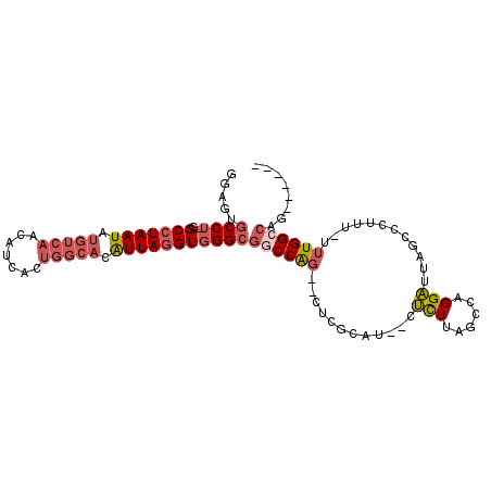 secondary structure