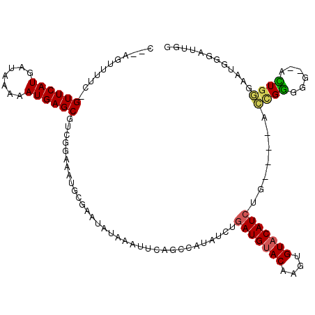 secondary structure