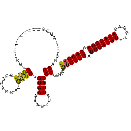 secondary structure