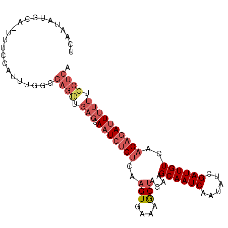 secondary structure