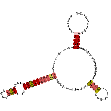 secondary structure