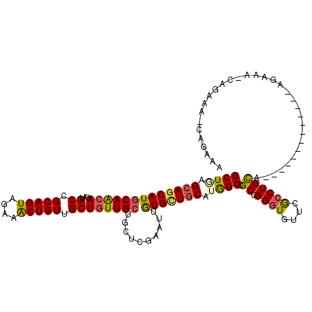 secondary structure