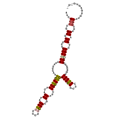 secondary structure