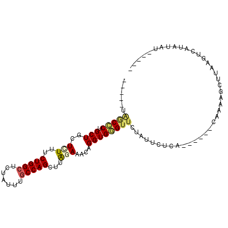 secondary structure