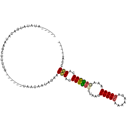 secondary structure