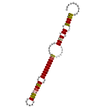 secondary structure