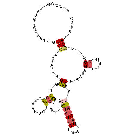 secondary structure