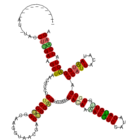 secondary structure