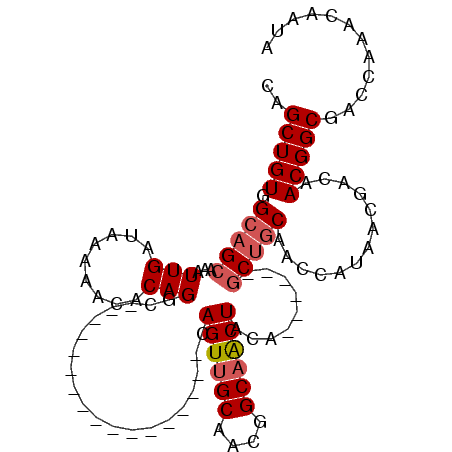 secondary structure
