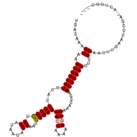 secondary structure