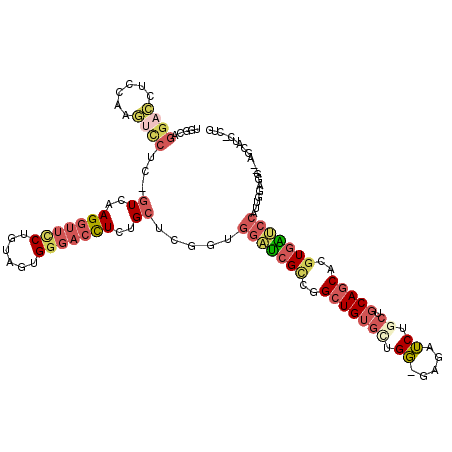 secondary structure