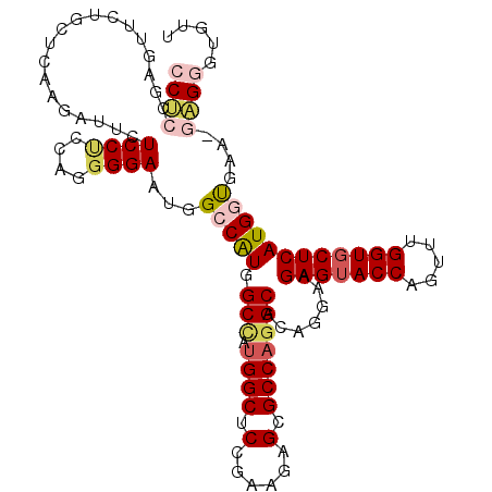 secondary structure