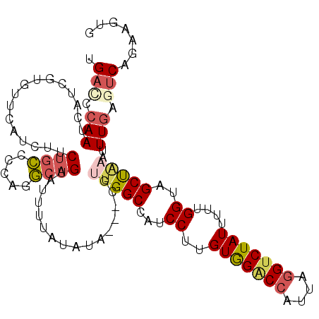 secondary structure