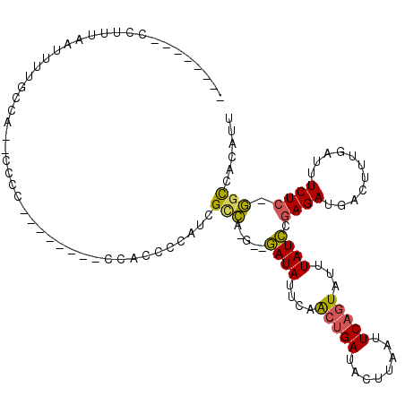 secondary structure