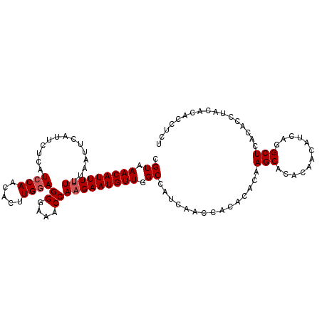 secondary structure