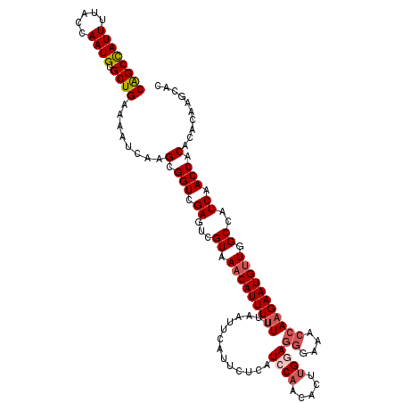 secondary structure