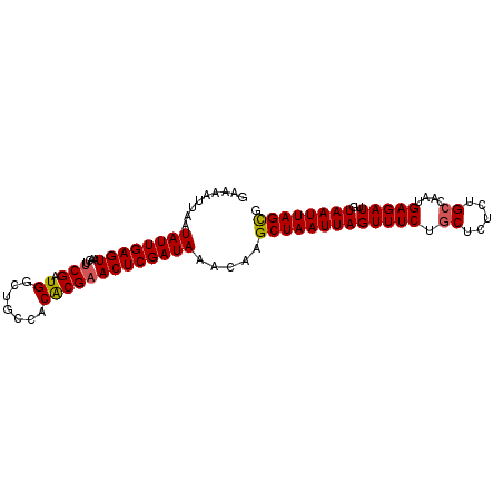 secondary structure