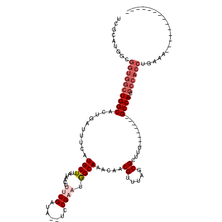 secondary structure