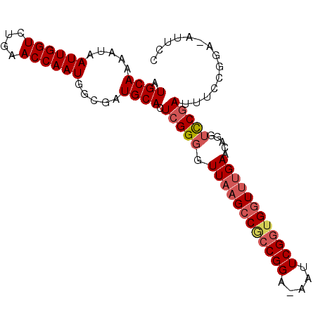 secondary structure