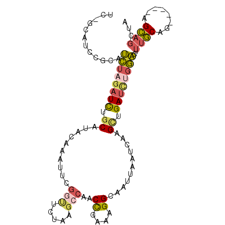 secondary structure