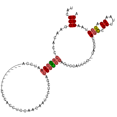 secondary structure