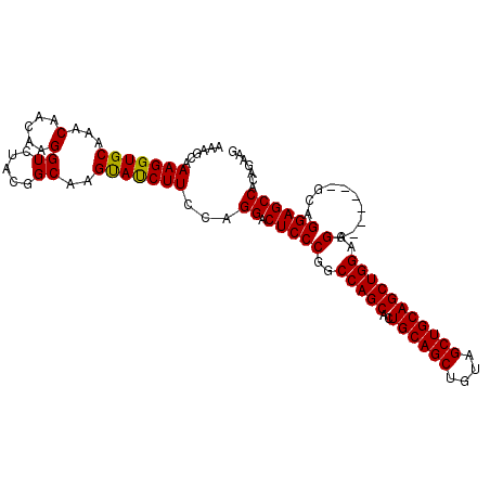 secondary structure