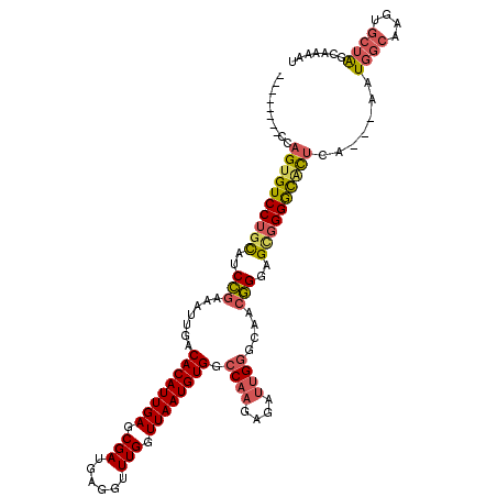 secondary structure