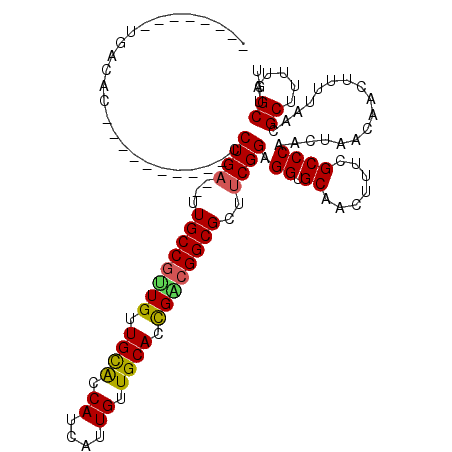 secondary structure
