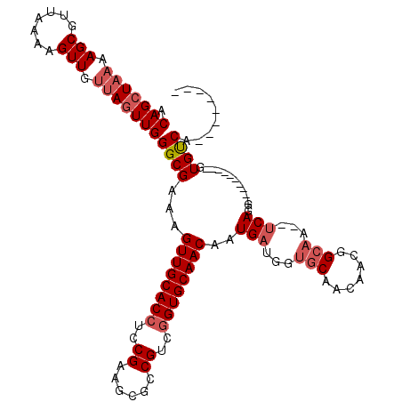 secondary structure