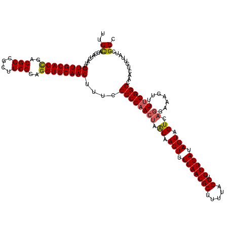 secondary structure