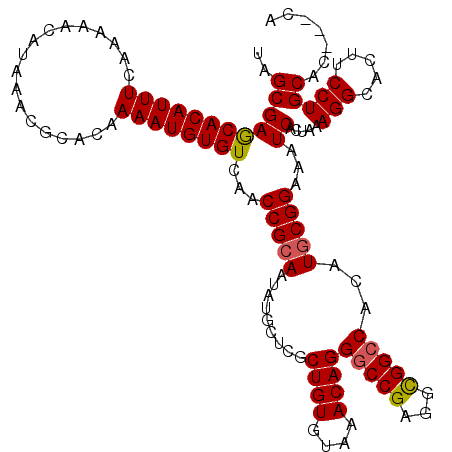secondary structure
