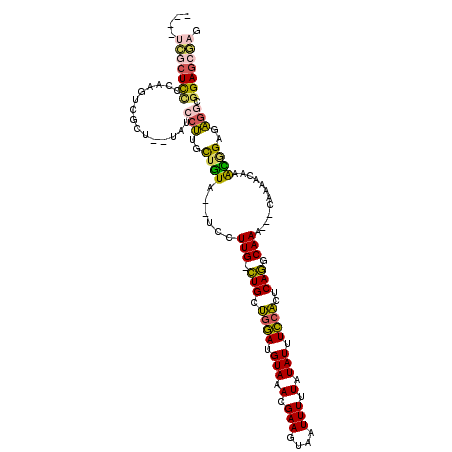 secondary structure