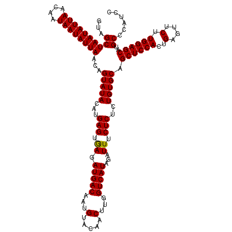 secondary structure