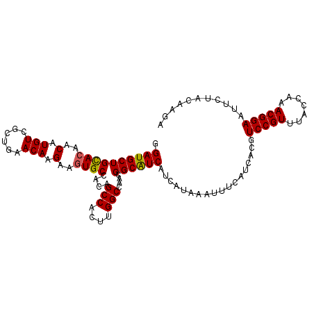 secondary structure