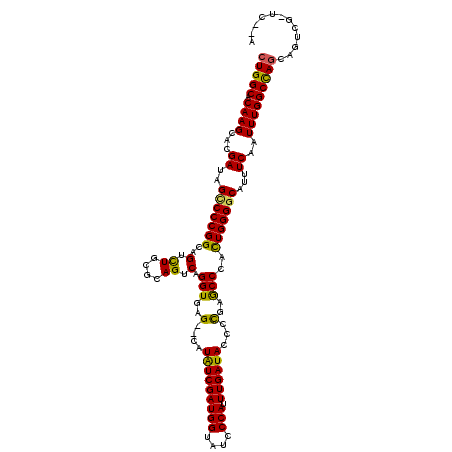 secondary structure
