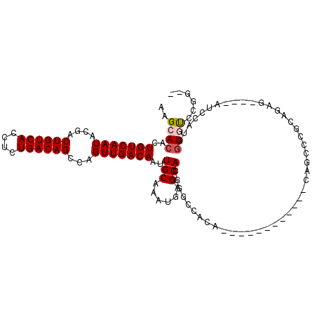 secondary structure