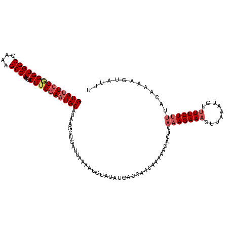 secondary structure