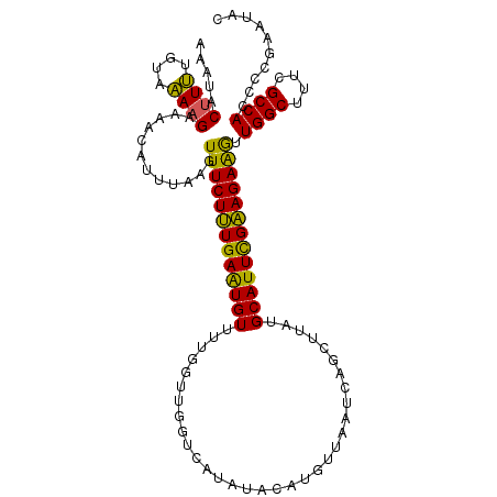 secondary structure