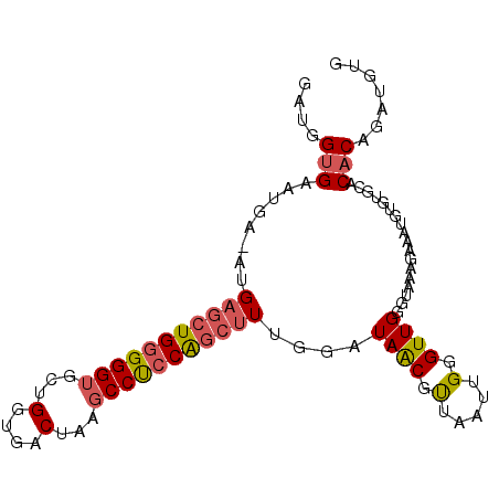 secondary structure