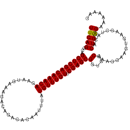 secondary structure
