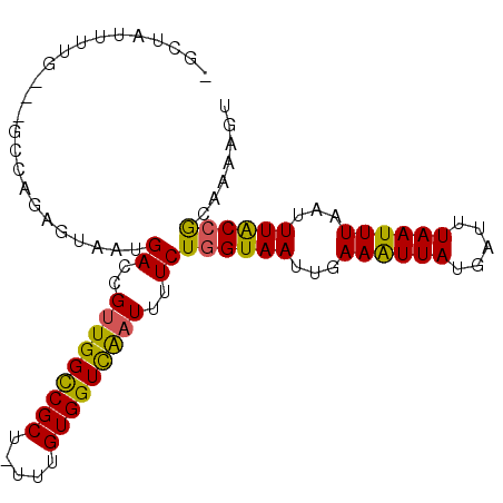 secondary structure