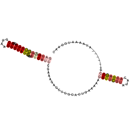 secondary structure