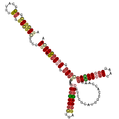 secondary structure