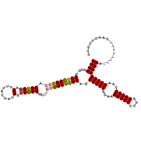 secondary structure