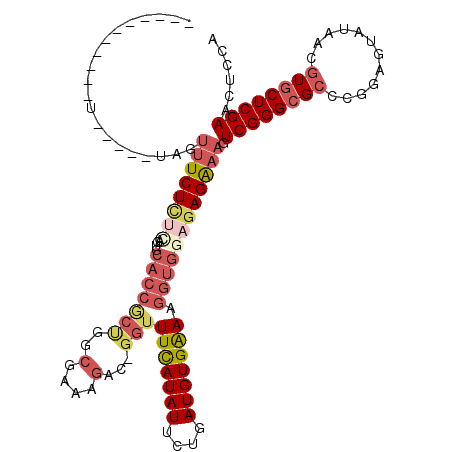 secondary structure