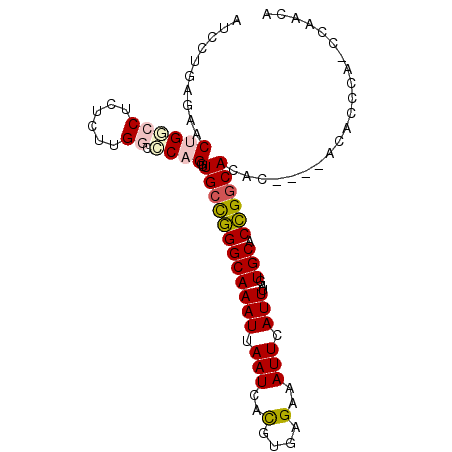 secondary structure